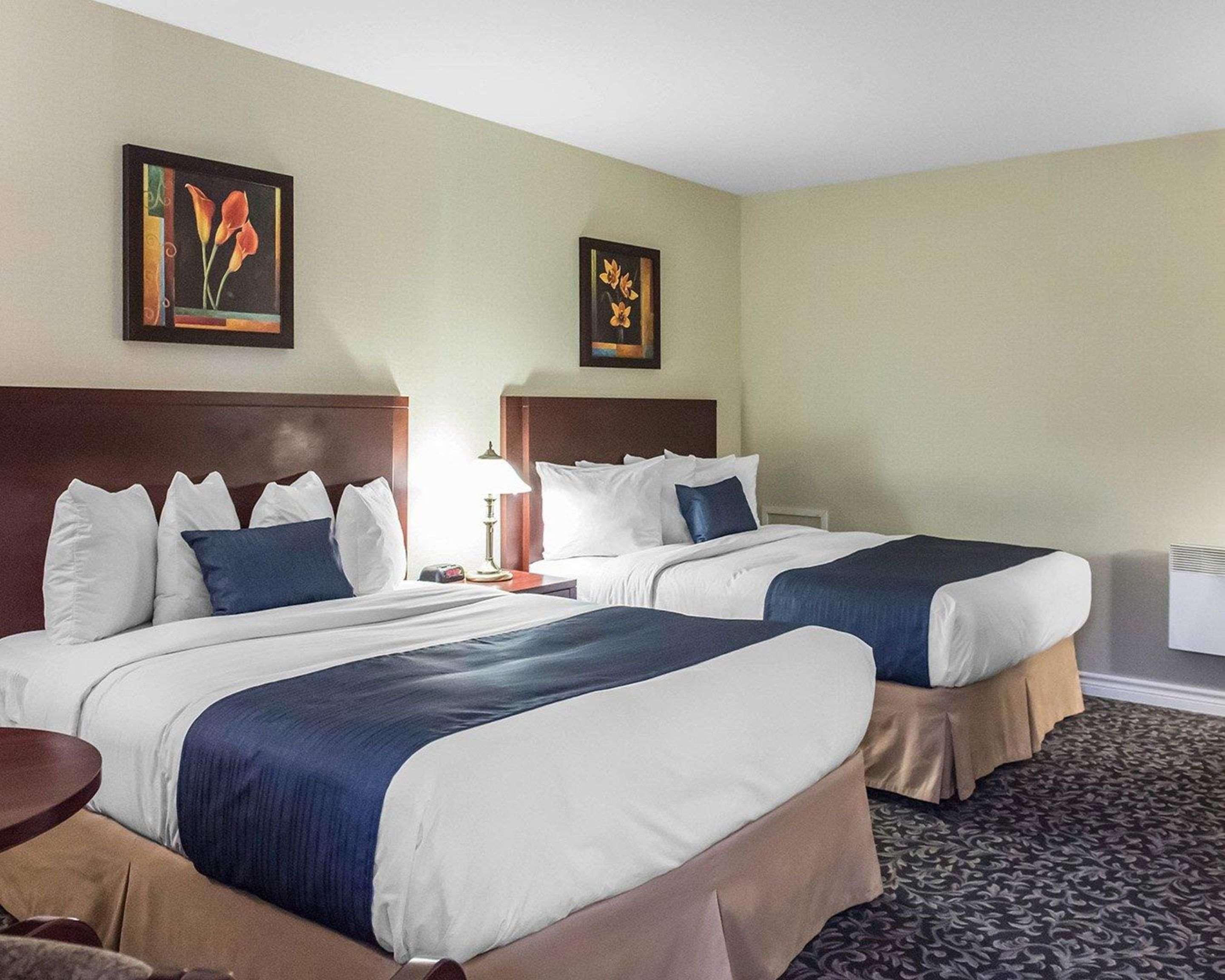 Quality Inn Mont-Laurier Dış mekan fotoğraf